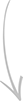 strelka-1
